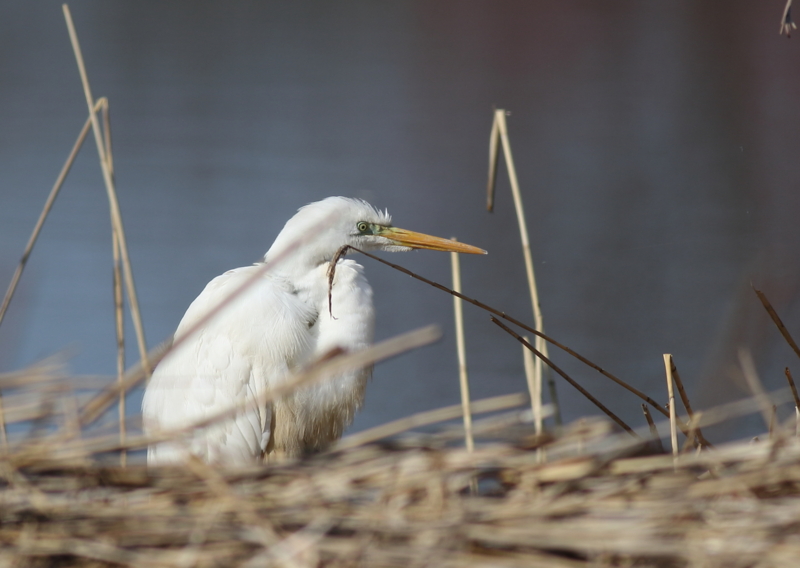 f:id:funatuyo:20150402083121j:image