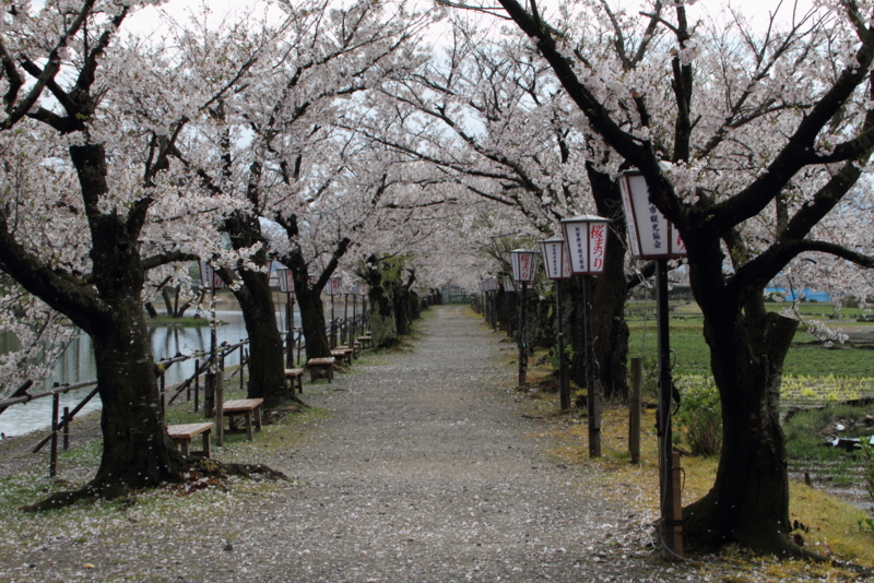 f:id:funatuyo:20150415082342j:image