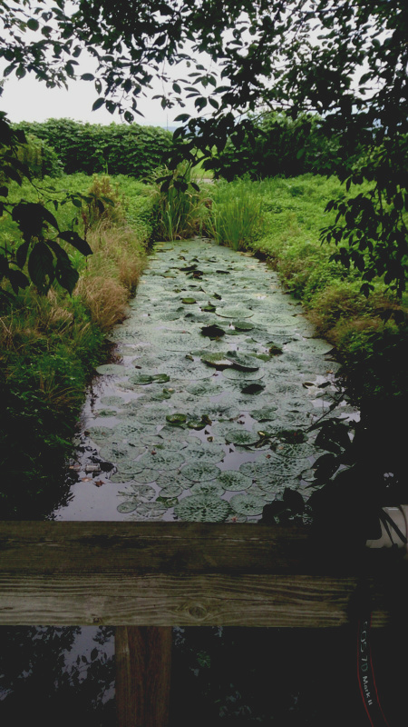f:id:funatuyo:20150718091300j:image