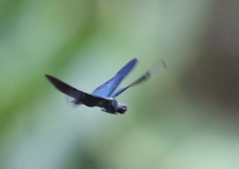 f:id:funatuyo:20150719152233j:image