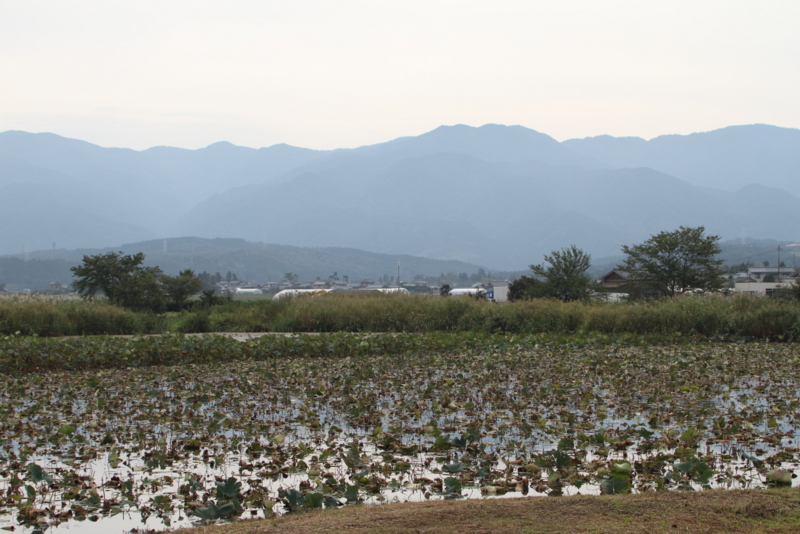 f:id:funatuyo:20150924083851j:image f:id:funatuyo:20150924083851j:image