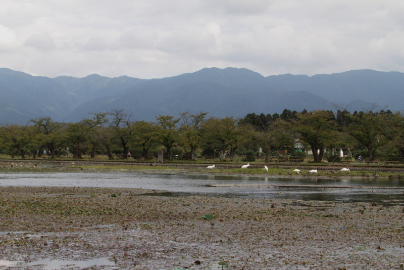 f:id:funatuyo:20150926135838j:image