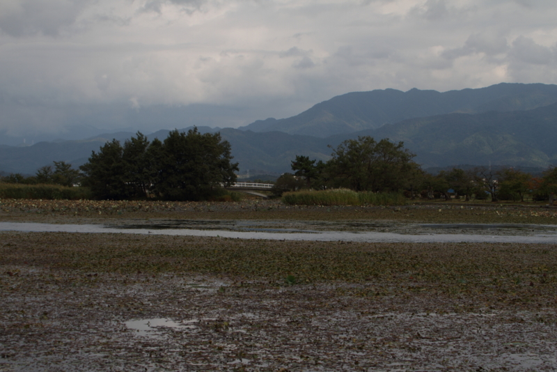 f:id:funatuyo:20150926135851j:image