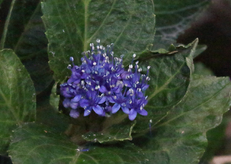 f:id:funatuyo:20150930083200j:image
