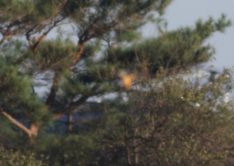 f:id:funatuyo:20151005073907j:image