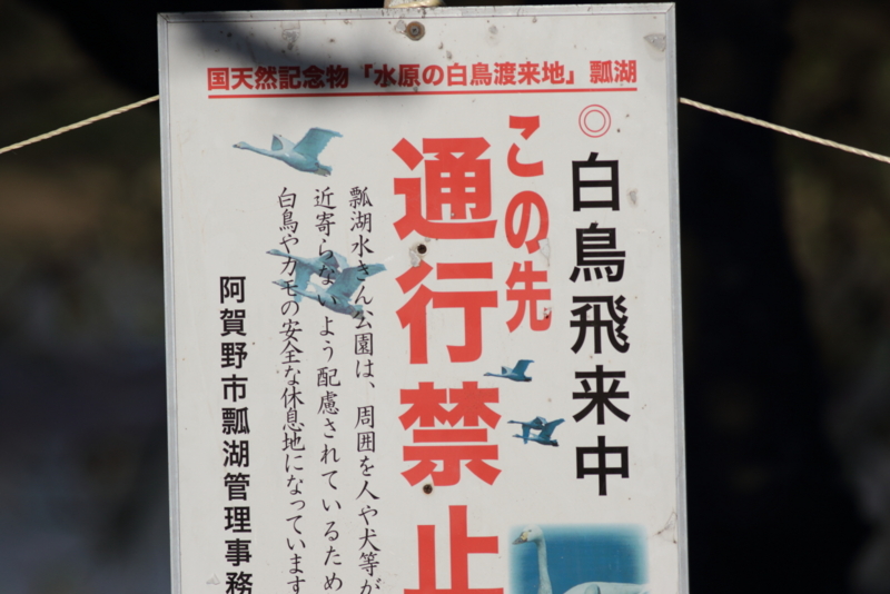 f:id:funatuyo:20151005154221j:image