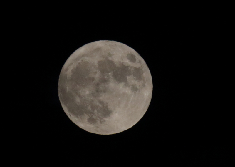 f:id:funatuyo:20151027175523j:image