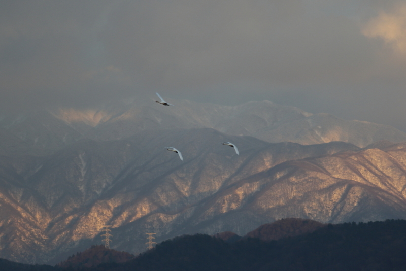 f:id:funatuyo:20151208155758j:image