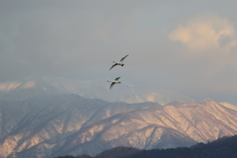 f:id:funatuyo:20151208155808j:image