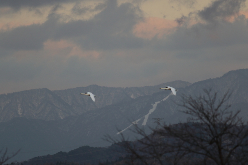 f:id:funatuyo:20151208155812j:image