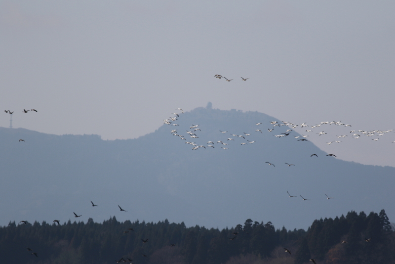 f:id:funatuyo:20151212104409j:image