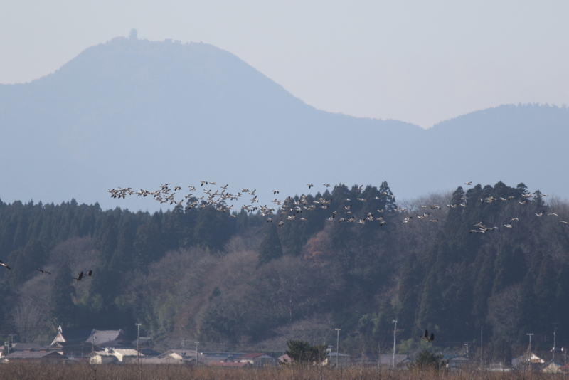 f:id:funatuyo:20151212104517j:image