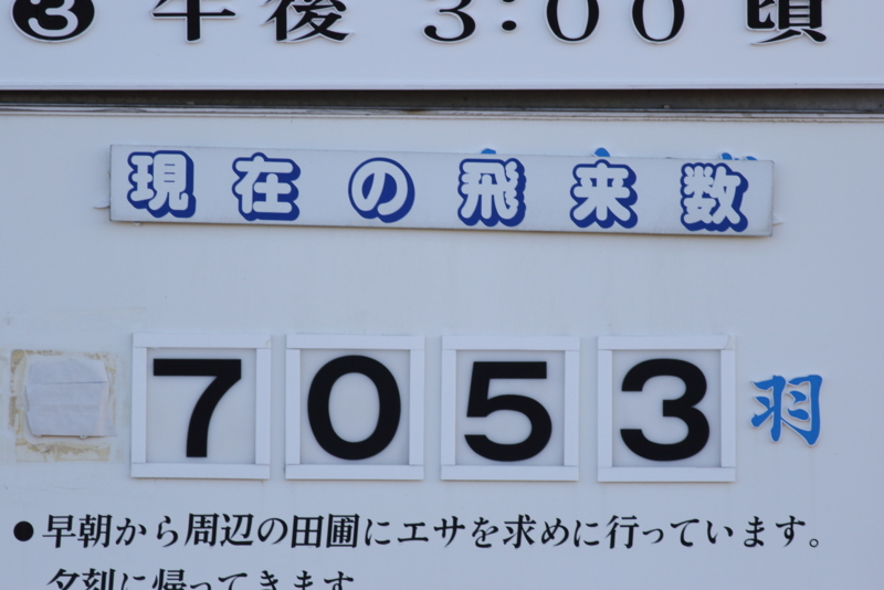f:id:funatuyo:20151214083049j:image
