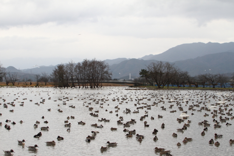 f:id:funatuyo:20151216082952j:image