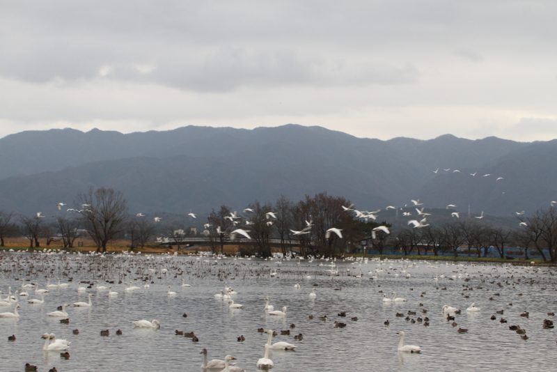 f:id:funatuyo:20151216083807j:image