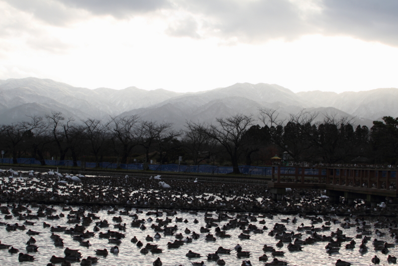f:id:funatuyo:20151219075258j:image f:id:funatuyo:20151219075258j:image