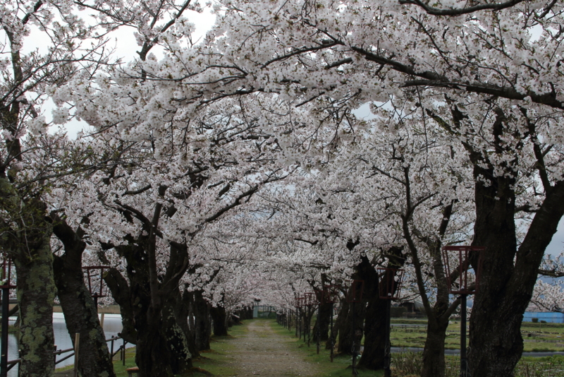 f:id:funatuyo:20160408080252j:image