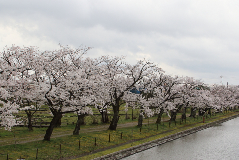 f:id:funatuyo:20160408085203j:image