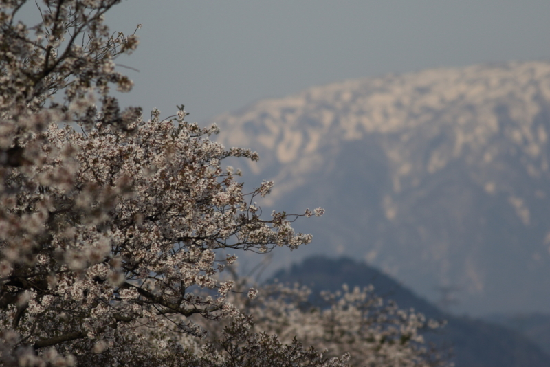 f:id:funatuyo:20160412161147j:image