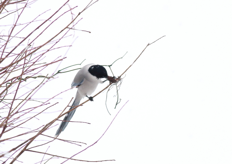 f:id:funatuyo:20170112090714j:image f:id:funatuyo:20170112090714j:image