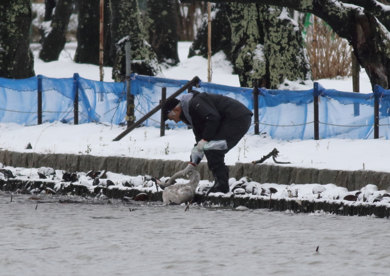 f:id:funatuyo:20170112093208j:image f:id:funatuyo:20170112093208j:image