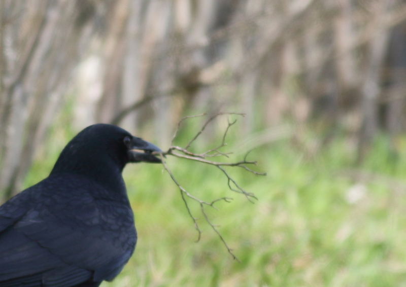 f:id:funatuyo:20170312100331j:image