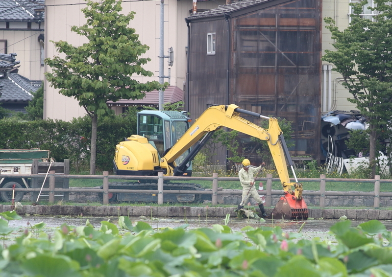 f:id:funatuyo:20170722085424j:image