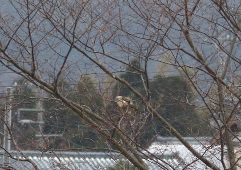 f:id:funatuyo:20171217092627j:image
