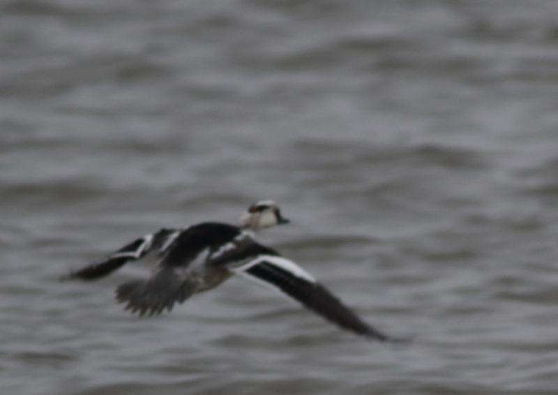 f:id:funatuyo:20171226083333j:image