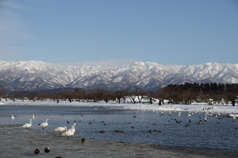 f:id:funatuyo:20180214150213j:image