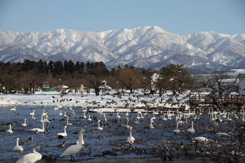 f:id:funatuyo:20180214150552j:image