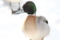 20180223085315