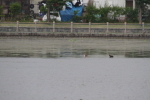 f:id:funatuyo:20180627084710j:image