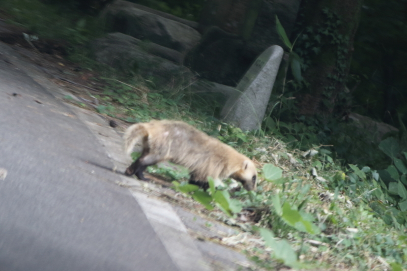 f:id:funatuyo:20180723143100j:image