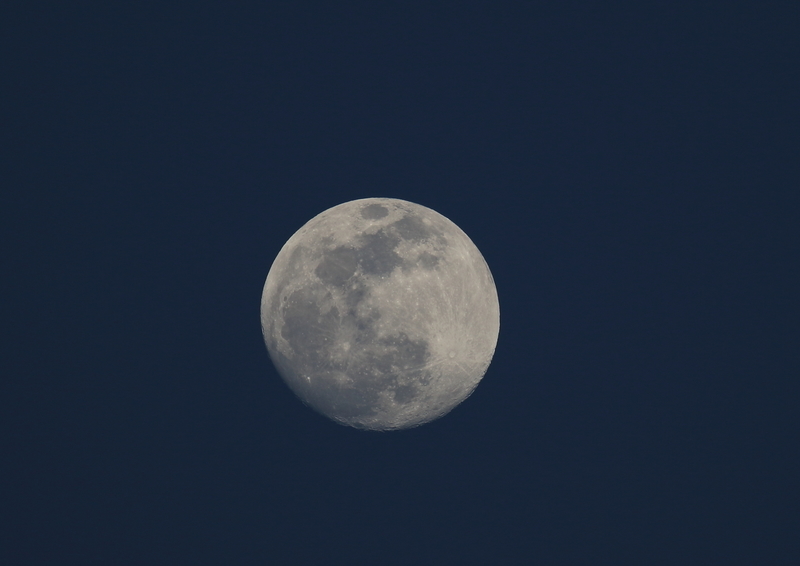 f:id:funatuyo:20190218171321j:plain
