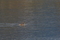 20191116101640