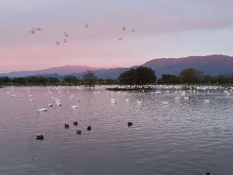 f:id:funatuyo:20201017212859j:plain