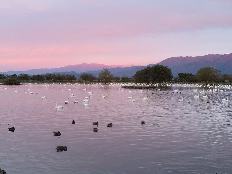 f:id:funatuyo:20201017212904j:plain