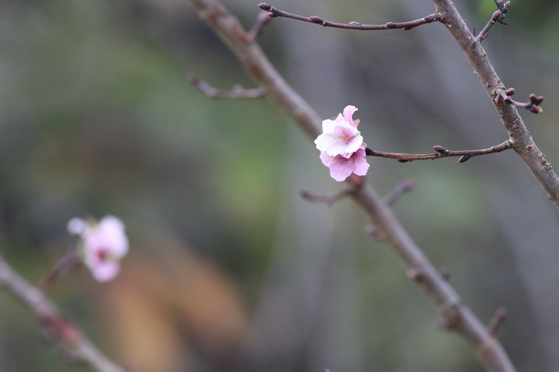 f:id:funatuyo:20201024075317j:plain