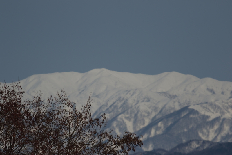 f:id:funatuyo:20210126145455j:plain