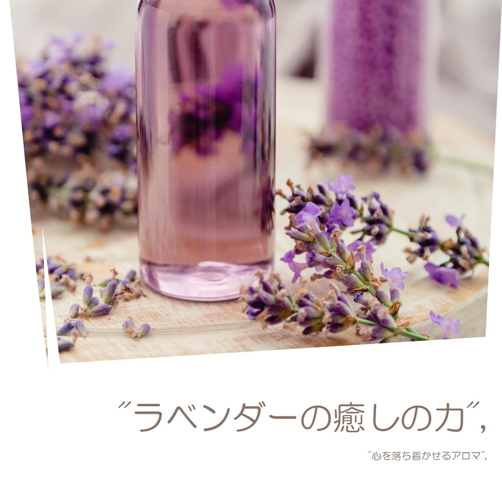 f:id:funfind:20250128230954p:image