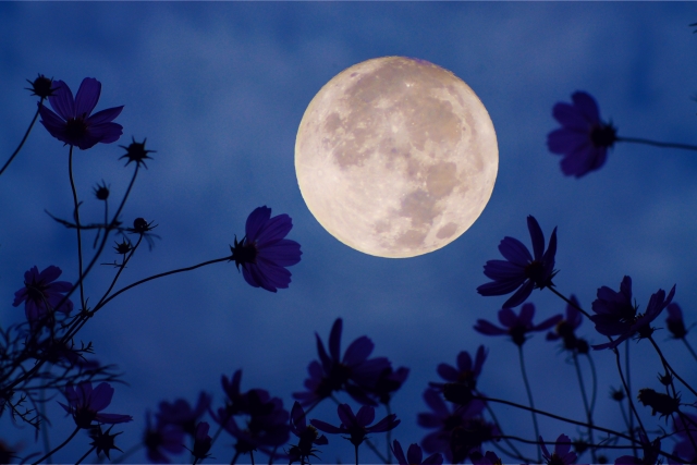 f:id:funfu-n:20210831233029j:plain