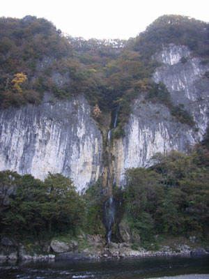 f:id:funfunfungi:20061106220957j:image