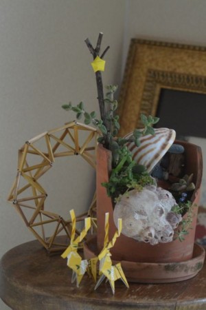 f:id:funfunfungi:20161203120725j:image:right f:id:funfunfungi:20161203120725j:image:right