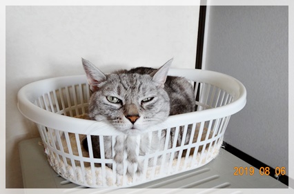 f:id:funfunhappiness:20190806113421j:plain f:id:funfunhappiness:20190806113421j:plain