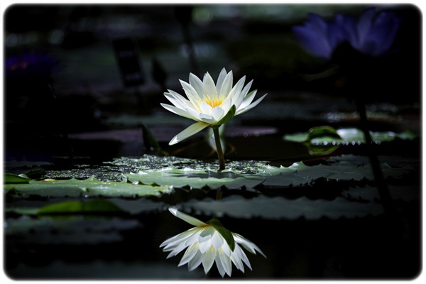 f:id:funfunhappiness:20200831042513j:plain f:id:funfunhappiness:20200831042513j:plain