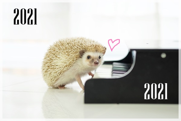 f:id:funfunhappiness:20210101163419j:plain