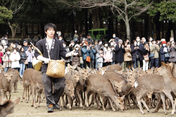 f:id:funifuni194:20200225214459j:plain