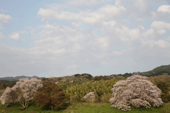 f:id:funifuni194:20200404213008j:plain