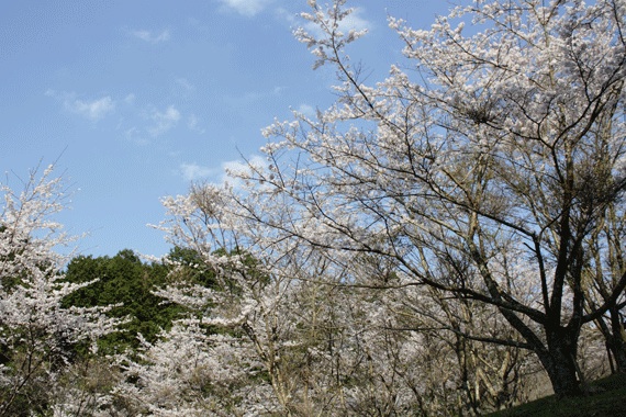 f:id:funifuni194:20200408200229j:plain